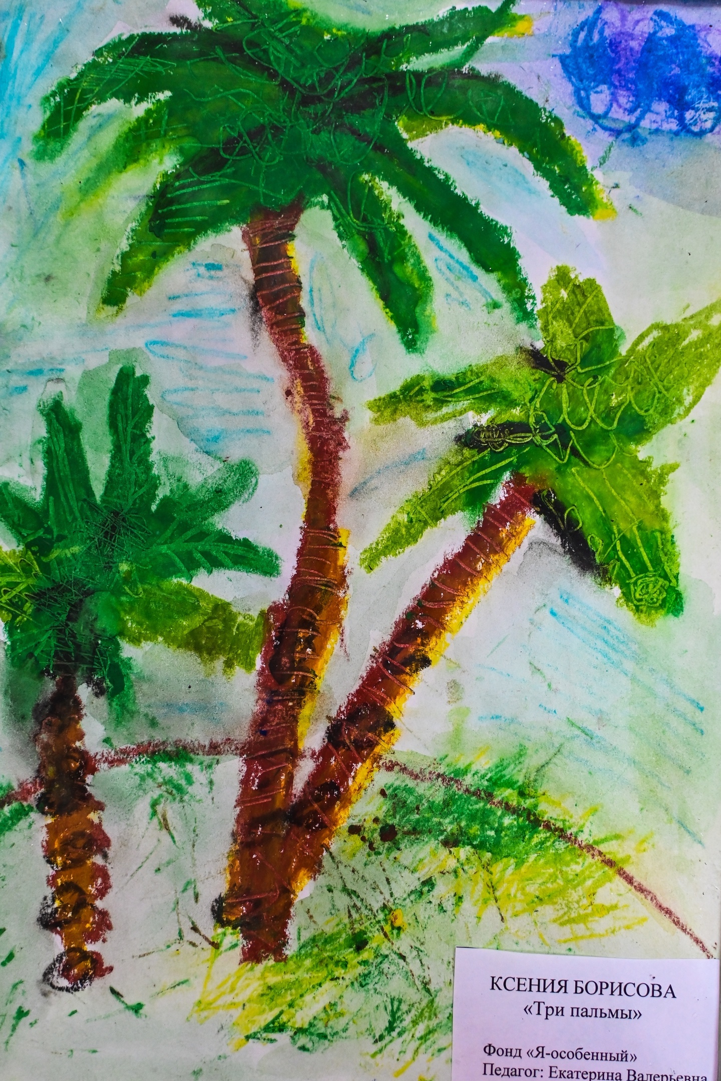 Три пальмы, Ксения Борисова